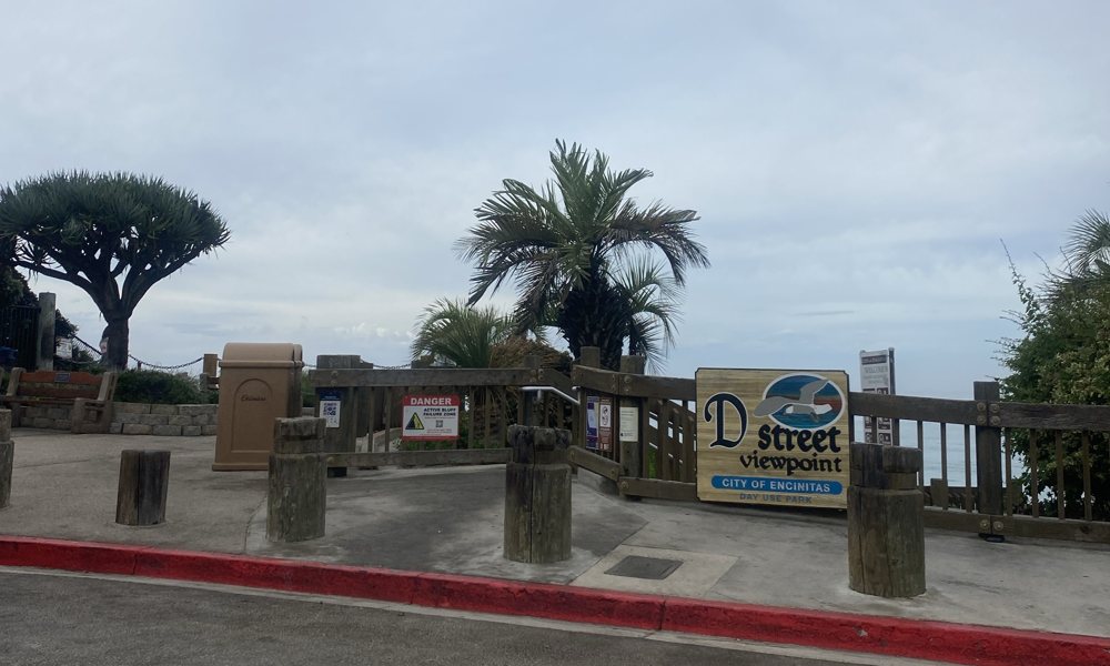The D Street Viewpoint in Encinitas under a gray sky, a red DANGER Active Bluff Failure Zone sign posted at the beach stairs