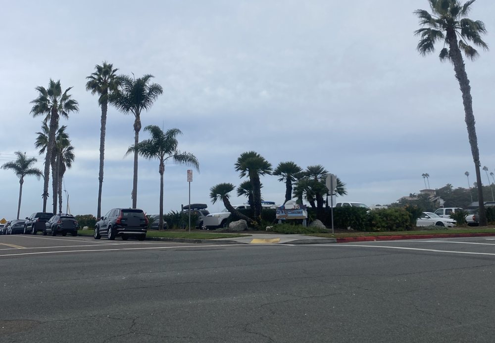 The Moonlight State Beach sign and palms at the beach entrance in Encinitas under a gray sky, cars parked along the street (plates blurred)