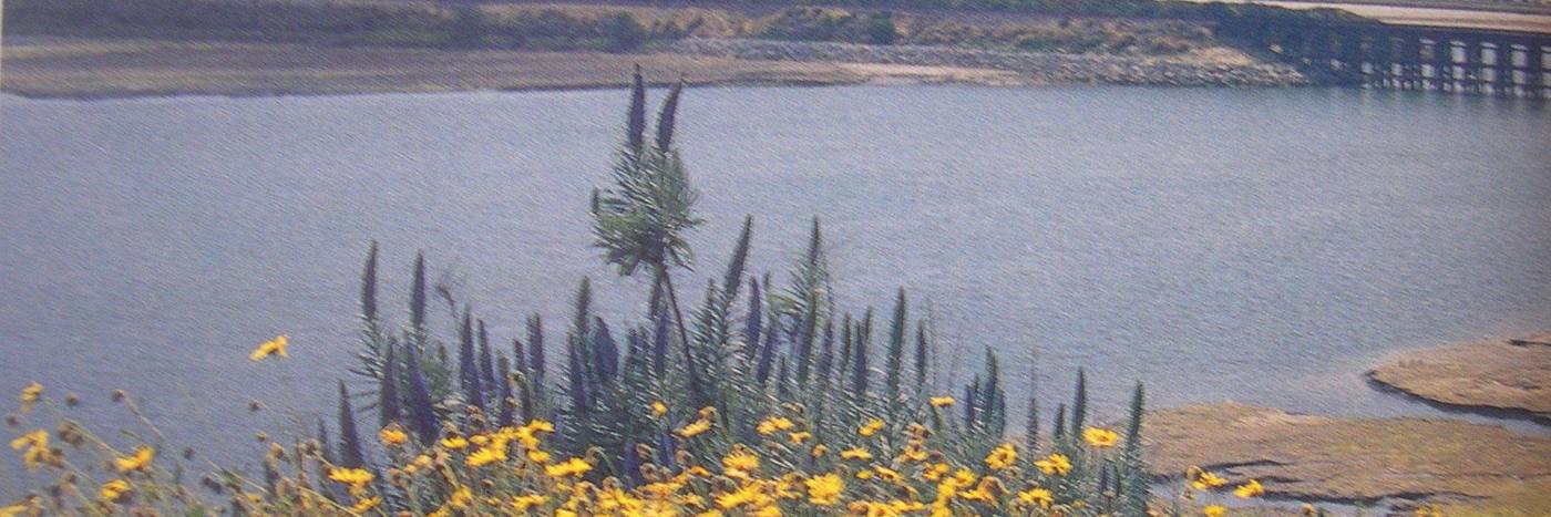 Batiquitos Lagoon in Carlsbad