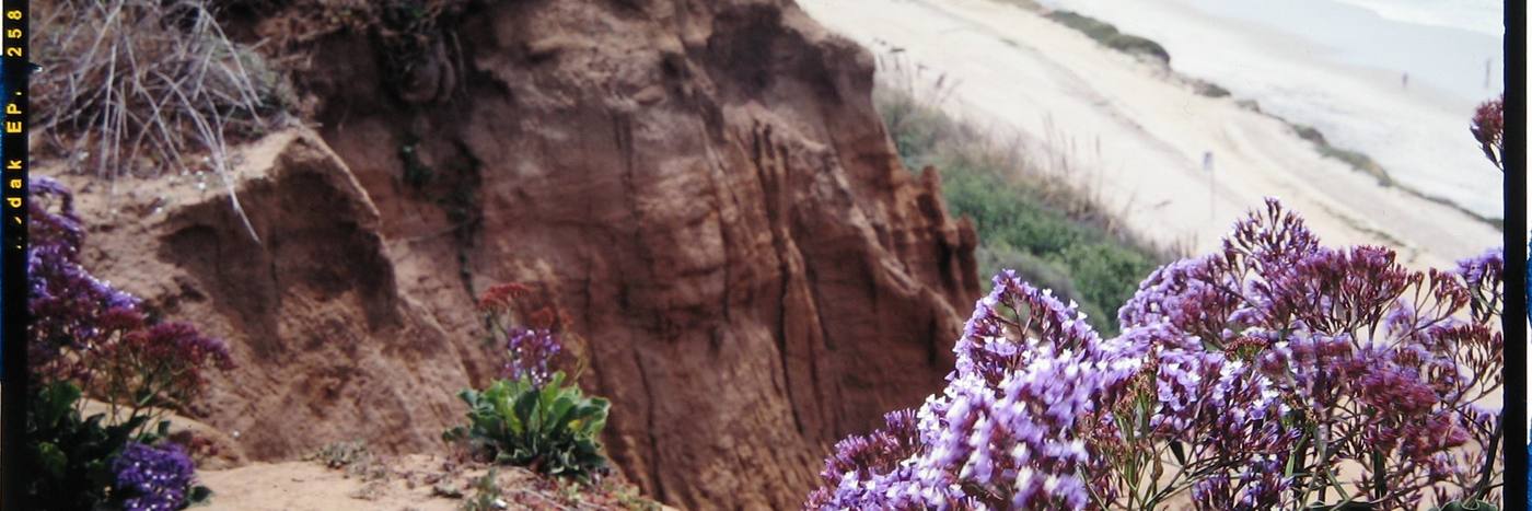 The Del Mar bluffs