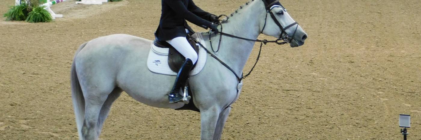 The Del Mar International Horse Show at the Del Mar Fairgrounds