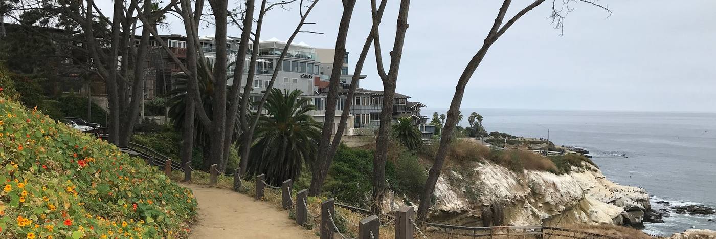 The Coast Walk above La Jolla Cove