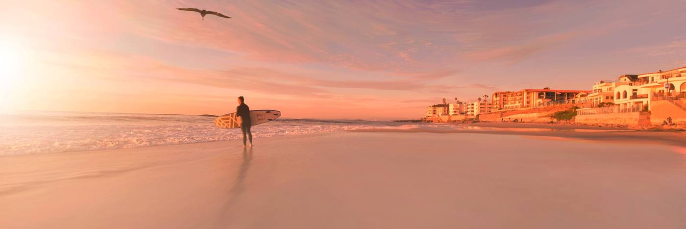 A surfer and gulls at sunset in San Diego